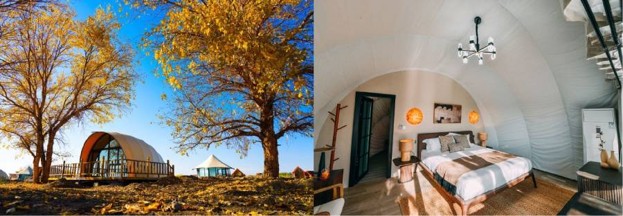 克拉玛依乌尔禾 国际房车露营公园项目